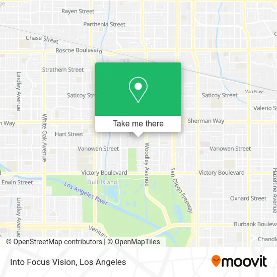 Into Focus Vision map