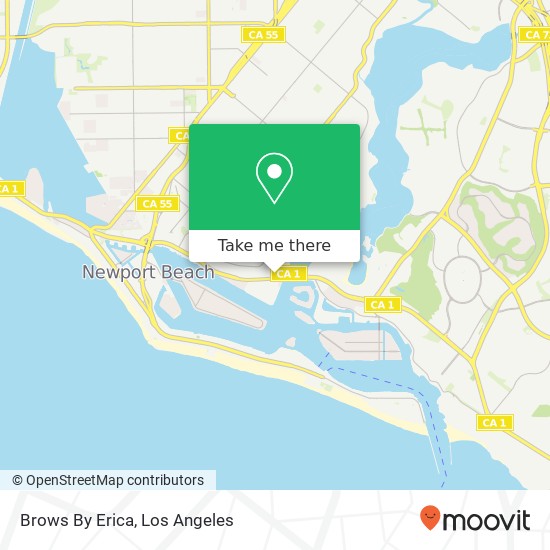 Brows By Erica map