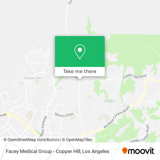 Facey Medical Group - Copper Hill map