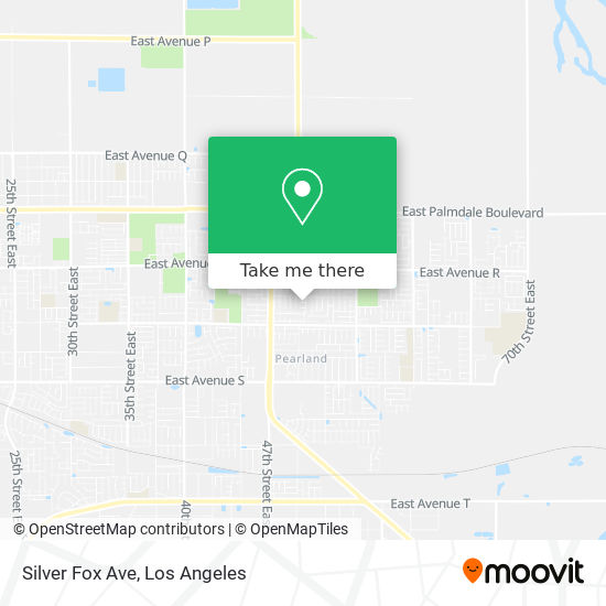 Silver Fox Ave map