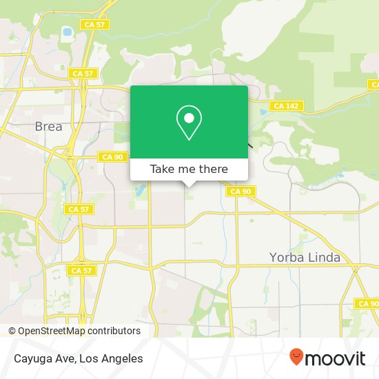 Cayuga Ave map