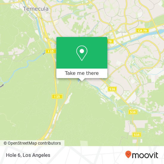 Hole 6 map