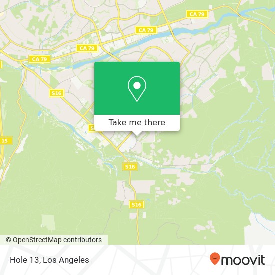 Hole 13 map