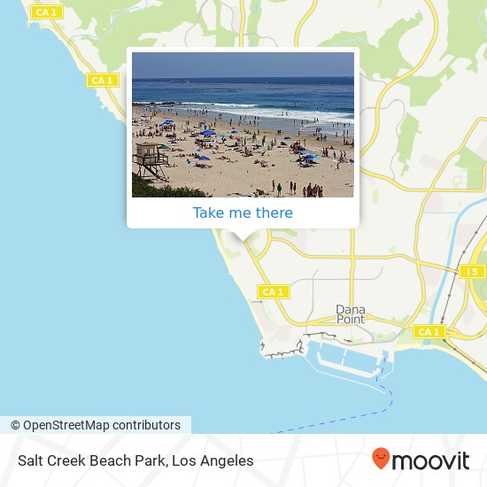 Mapa de Salt Creek Beach Park