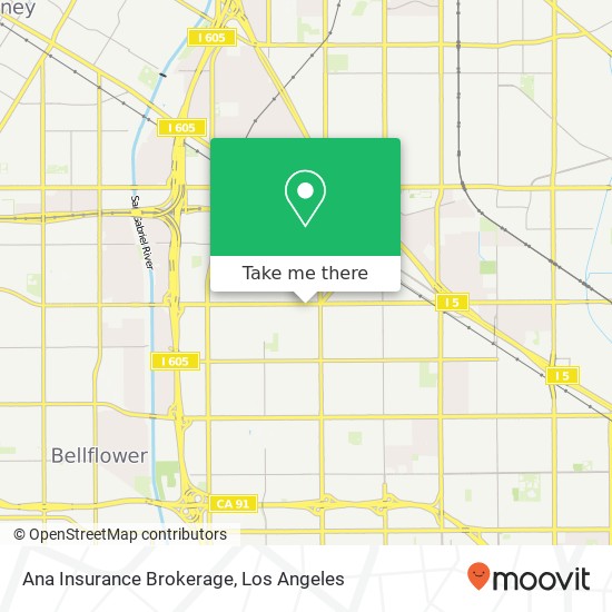 Ana Insurance Brokerage map