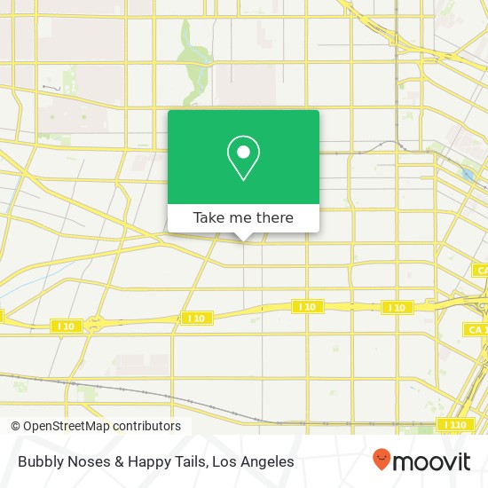 Bubbly Noses & Happy Tails map