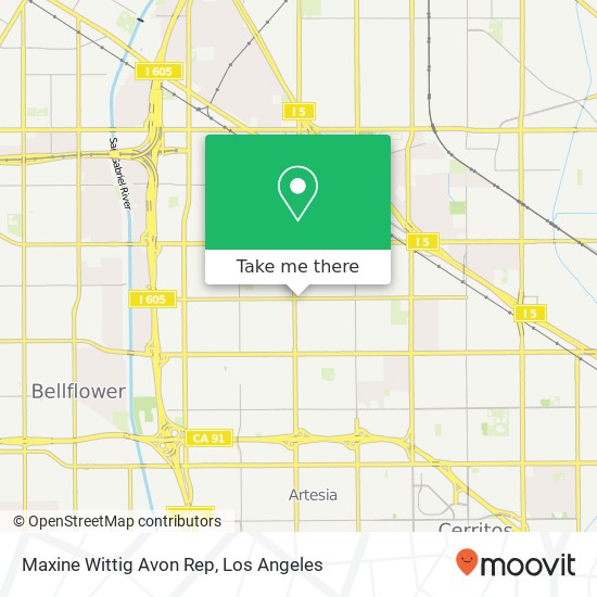 Maxine Wittig Avon Rep map