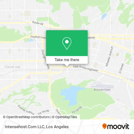 Intensehost.Com LLC map