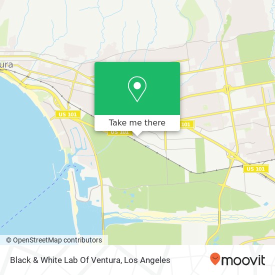 Black & White Lab Of Ventura map