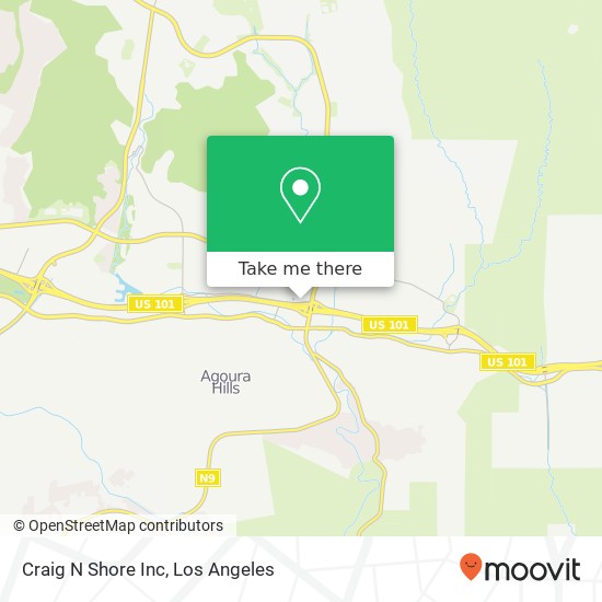 Craig N Shore Inc map