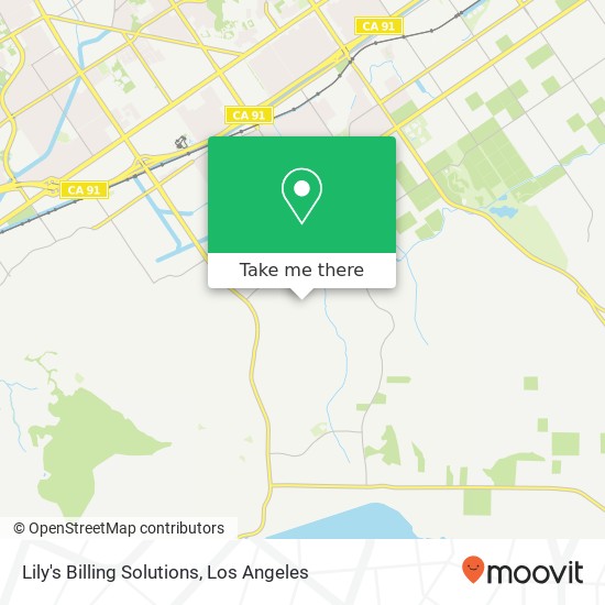 Mapa de Lily's Billing Solutions