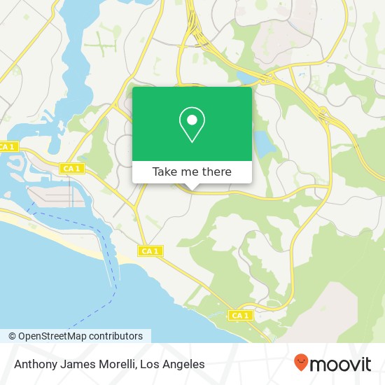 Anthony James Morelli map