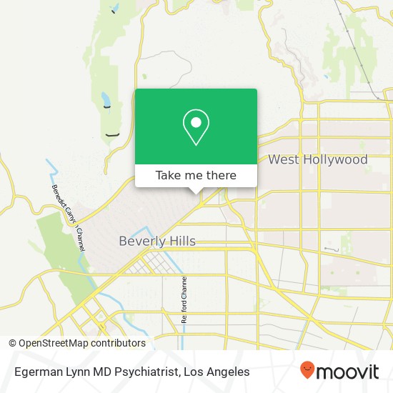 Egerman Lynn MD Psychiatrist map