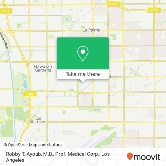 Robby T. Ayoub, M.D., Prof. Medical Corp. map