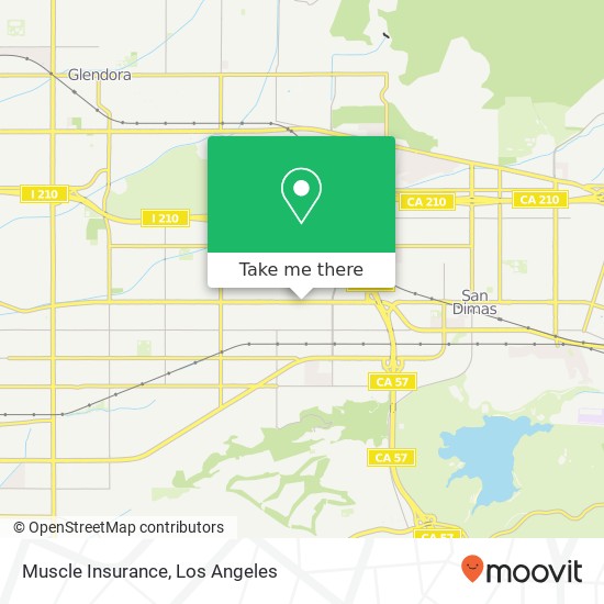 Muscle Insurance map