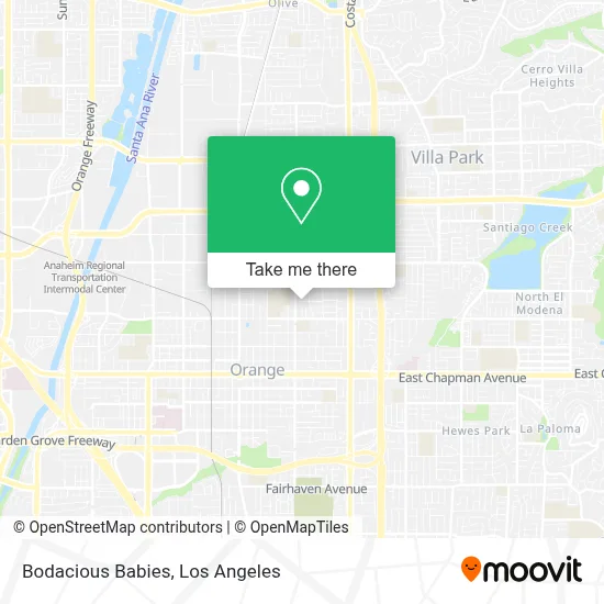 Bodacious Babies map