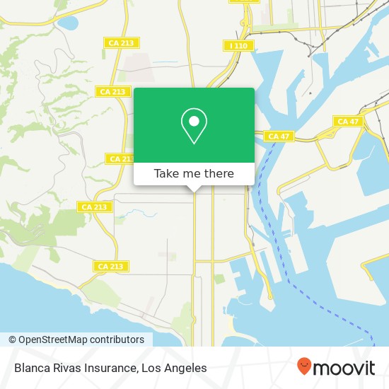 Blanca Rivas Insurance map