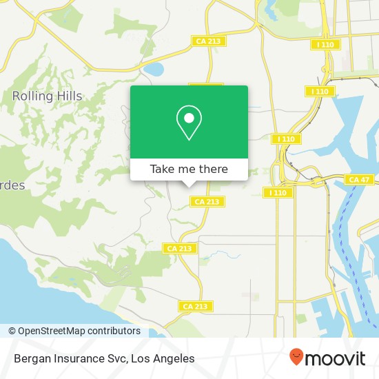 Bergan Insurance Svc map
