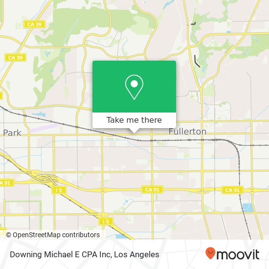 Downing Michael E CPA Inc map