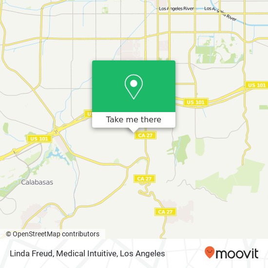 Linda Freud, Medical Intuitive map