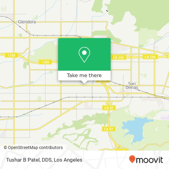 Tushar B Patel, DDS map