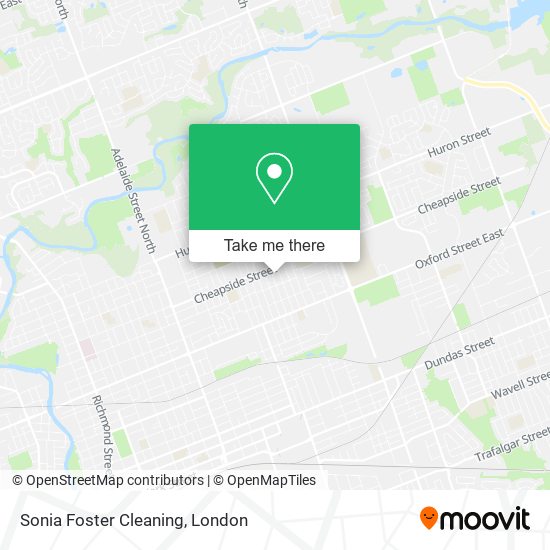 Sonia Foster Cleaning plan