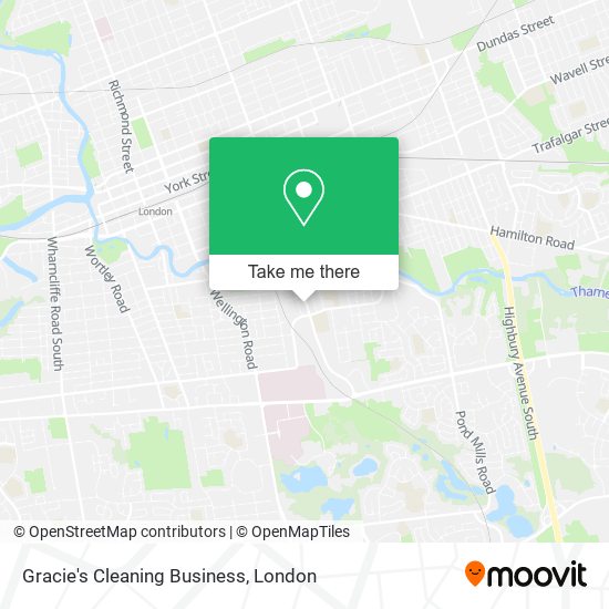 Gracie's Cleaning Business plan