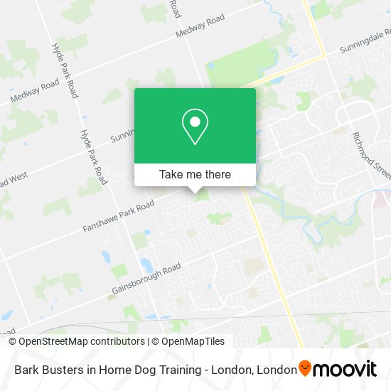 Bark Busters in Home Dog Training - London plan