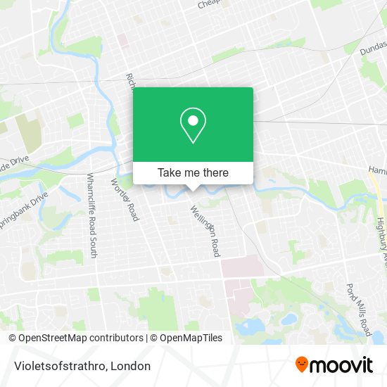 Violetsofstrathro plan