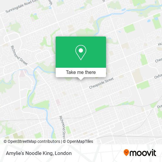 Amylie's Noodle King plan