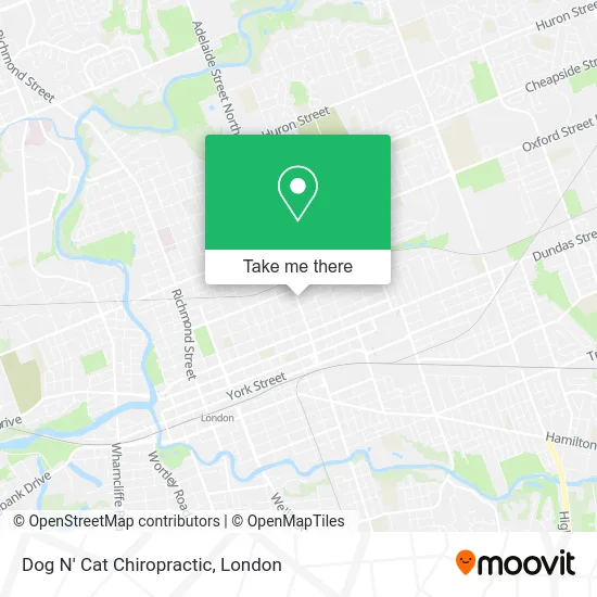 Dog N' Cat Chiropractic map