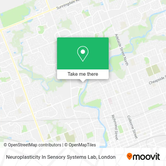 Neuroplasticity In Sensory Systems Lab map