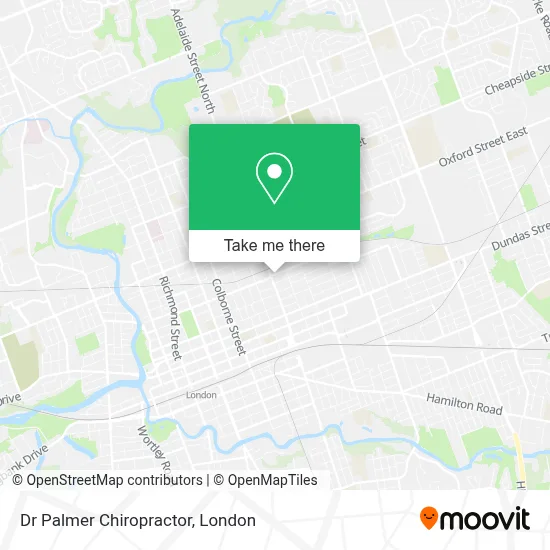 Dr Palmer Chiropractor map