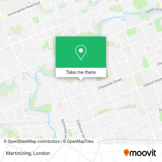 Martinizing map