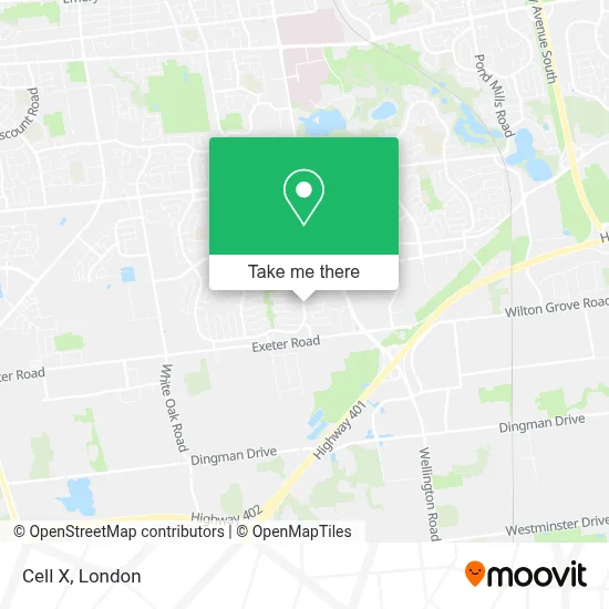 Cell X map
