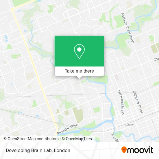 Developing Brain Lab map