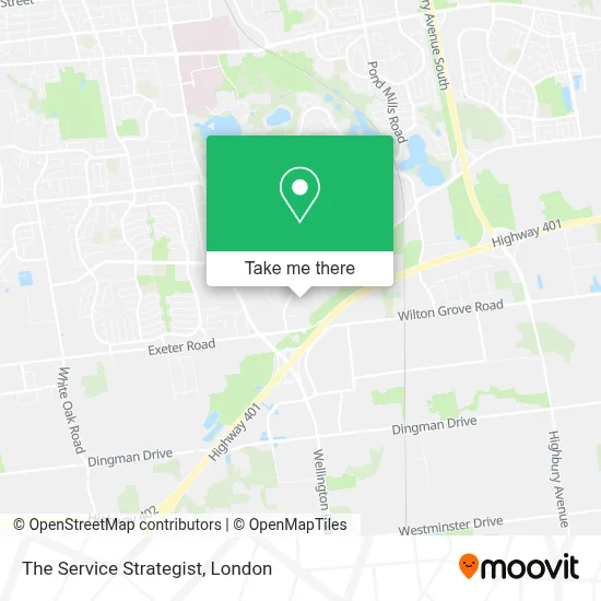 The Service Strategist map