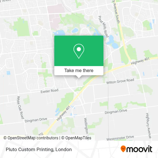 Pluto Custom Printing map