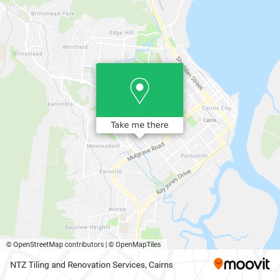 NTZ Tiling and Renovation Services map