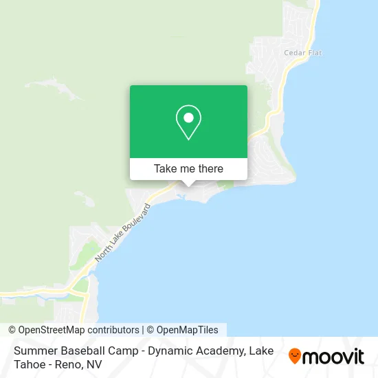 Summer Baseball Camp - Dynamic Academy map