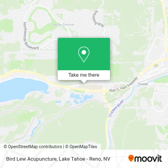 Bird Lew Acupuncture map