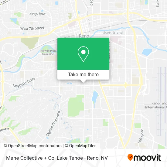 Mane Collective + Co map