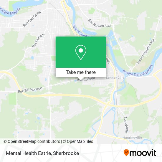 Mental Health Estrie map
