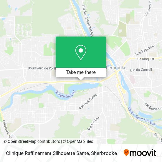 Clinique Raffinement Silhouette Sante map