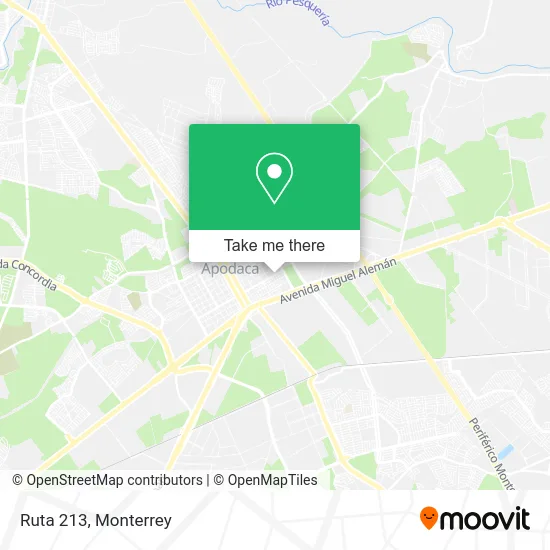 Ruta 213 map