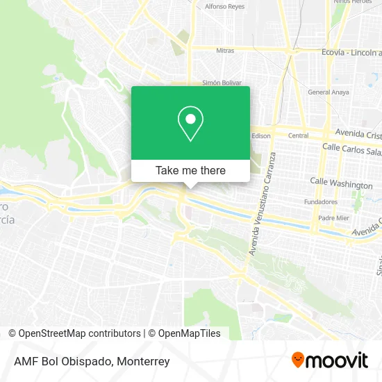 AMF Bol Obispado map