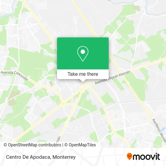 Centro De Apodaca map