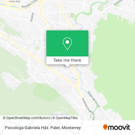 Psicologa Gabriela Hdz. Palet map