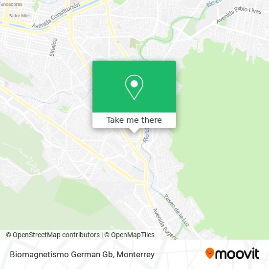 Biomagnetismo German Gb map