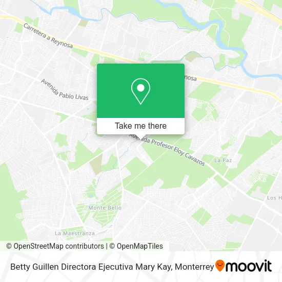 Betty Guillen Directora Ejecutiva Mary Kay map